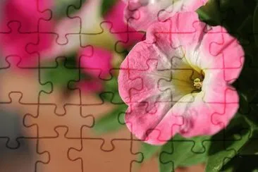 OK jigsaw puzzle