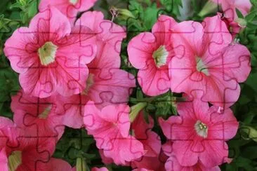 OK jigsaw puzzle