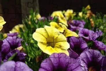 OK jigsaw puzzle