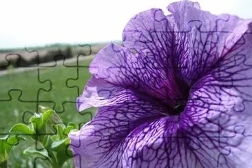 OK jigsaw puzzle