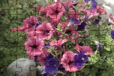 OK jigsaw puzzle