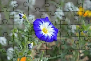 OK jigsaw puzzle