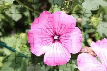 OK jigsaw puzzle