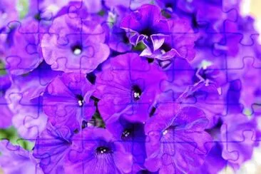 OK jigsaw puzzle