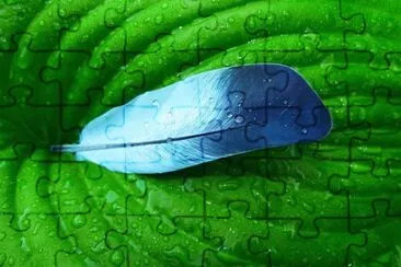 Foto jigsaw puzzle