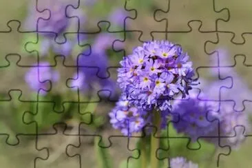 OK jigsaw puzzle