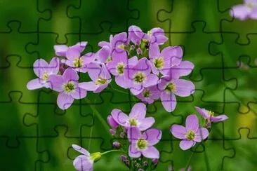OK jigsaw puzzle