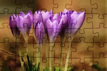 OK jigsaw puzzle