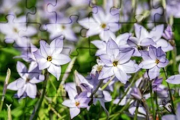 OK jigsaw puzzle