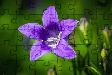 OK jigsaw puzzle