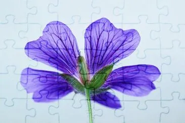 OK jigsaw puzzle