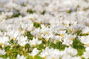 OK jigsaw puzzle