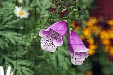 OK jigsaw puzzle