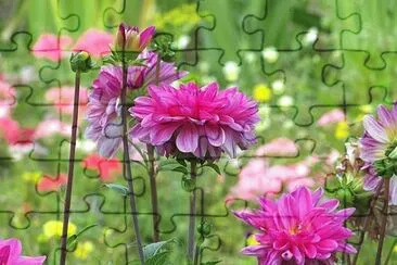 OK jigsaw puzzle