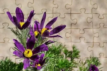 OK jigsaw puzzle