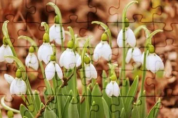 OK jigsaw puzzle