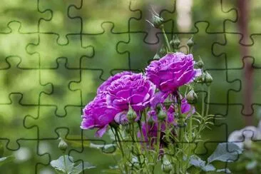 OK jigsaw puzzle