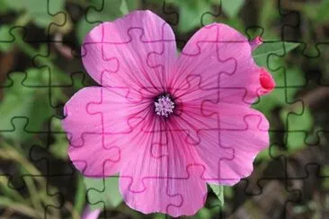 OK jigsaw puzzle