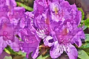 OK jigsaw puzzle