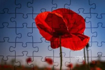 OK jigsaw puzzle