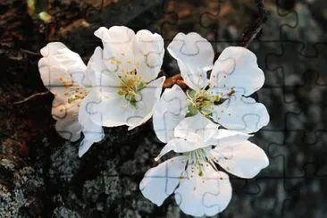 OK jigsaw puzzle