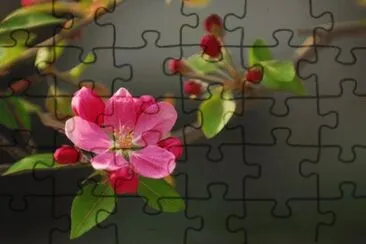 OK jigsaw puzzle
