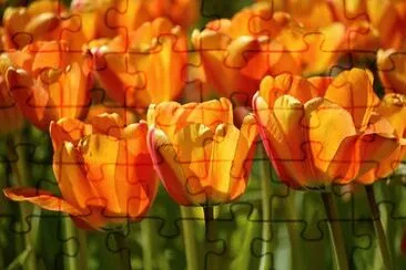 OK jigsaw puzzle