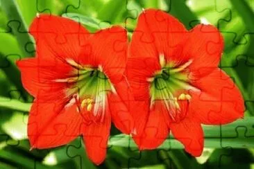 OK jigsaw puzzle