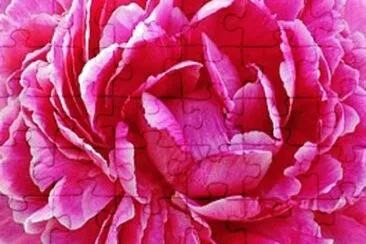 OK jigsaw puzzle