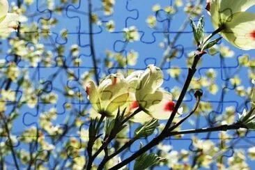 OK jigsaw puzzle