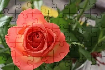 OK jigsaw puzzle