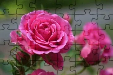 OK jigsaw puzzle