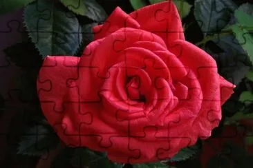 OK jigsaw puzzle