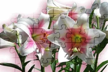OK jigsaw puzzle