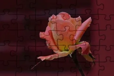 OK jigsaw puzzle