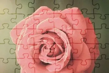 OK