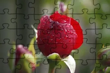 OK jigsaw puzzle