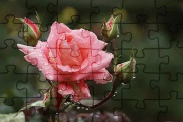 OK jigsaw puzzle