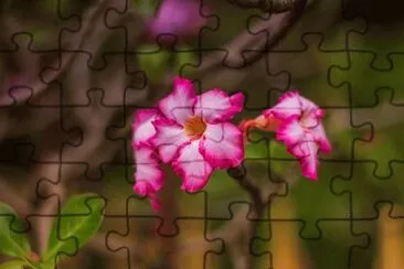 OK jigsaw puzzle