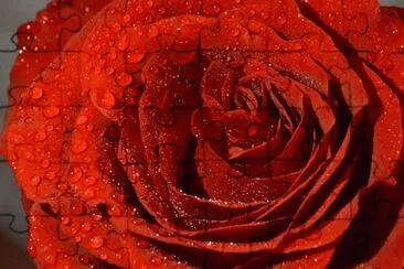 OK jigsaw puzzle