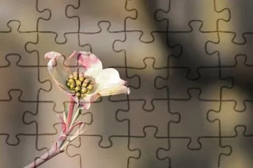 OK jigsaw puzzle
