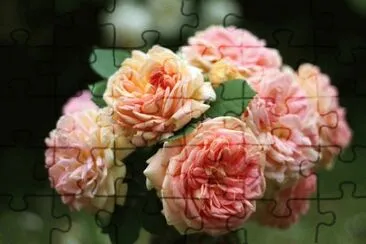 OK jigsaw puzzle