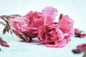 OK jigsaw puzzle