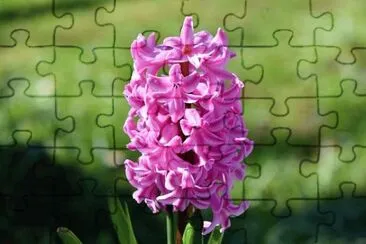 OK jigsaw puzzle