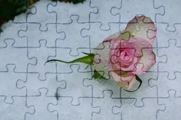 OK jigsaw puzzle