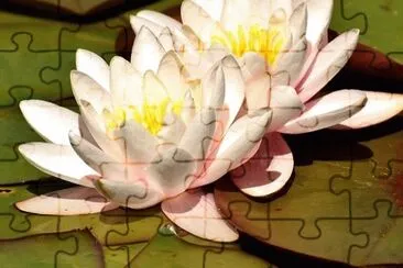 OK jigsaw puzzle