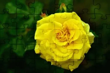 OK jigsaw puzzle