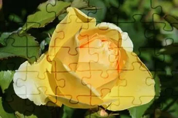 OK jigsaw puzzle