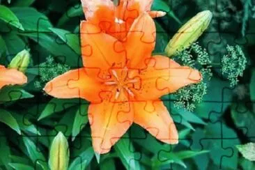 OK jigsaw puzzle