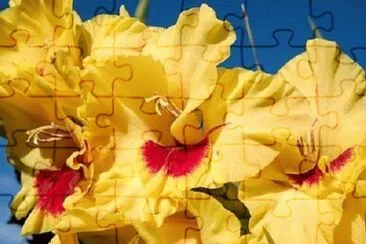 OK jigsaw puzzle